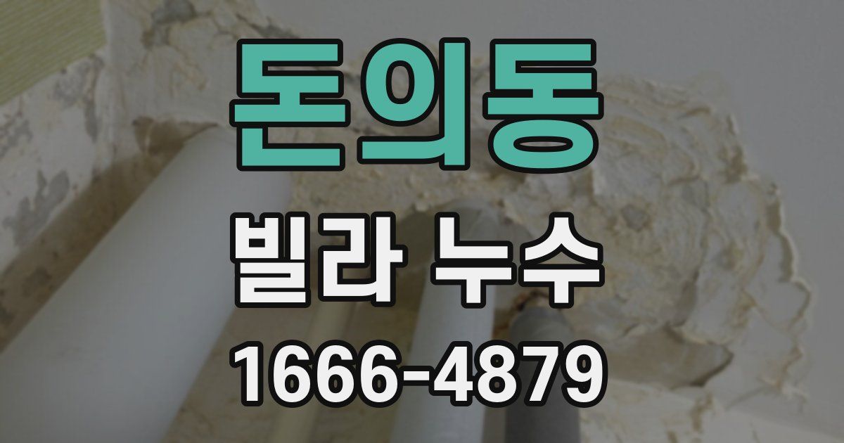 돈의동 빌라 누수