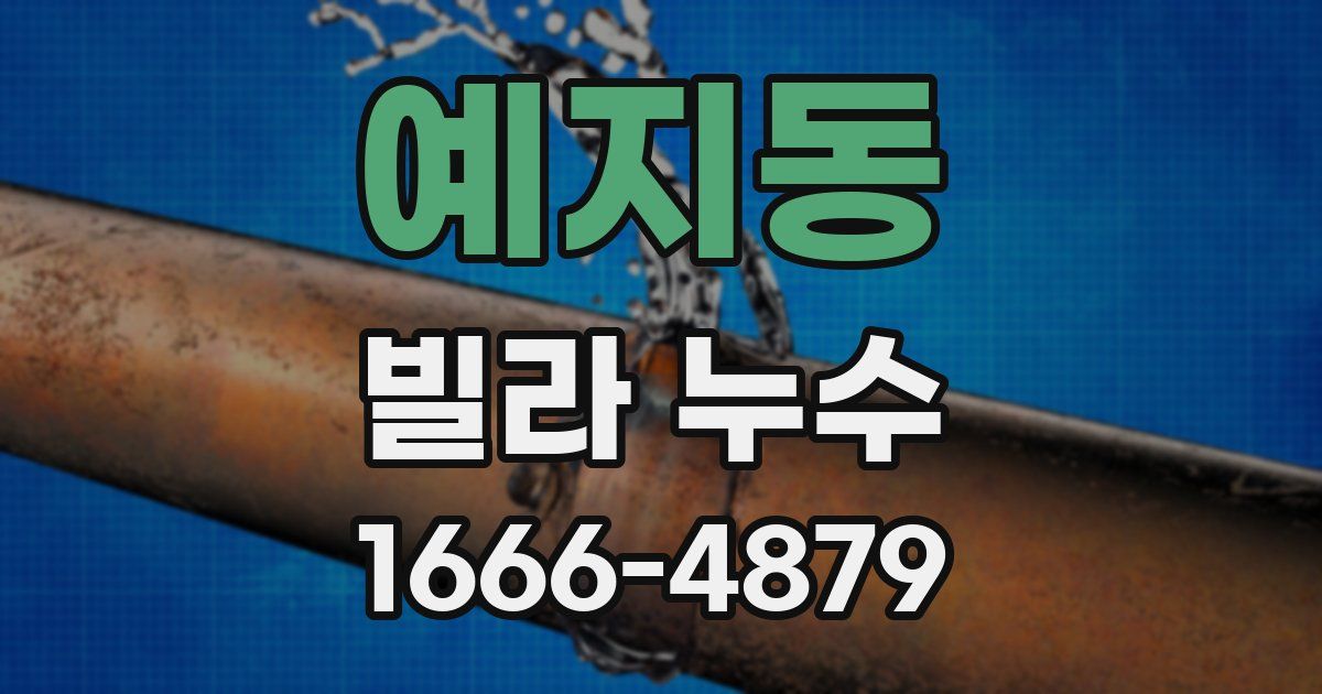 예지동 빌라 누수