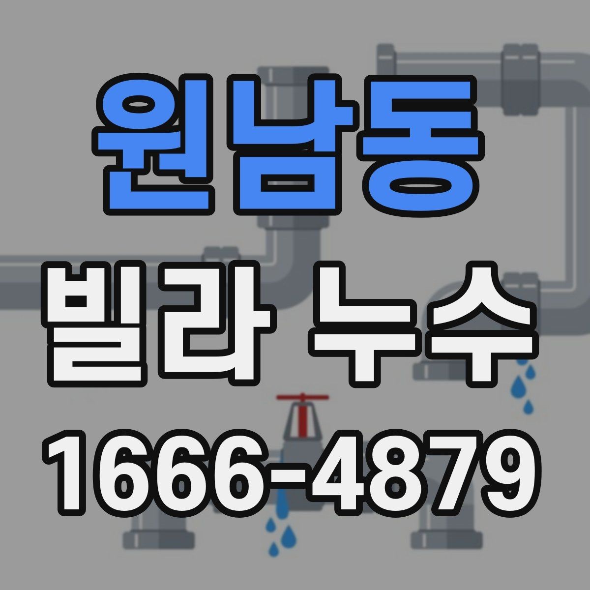 원남동 빌라 누수 공용부 점검 요청 시 필요한 정보
