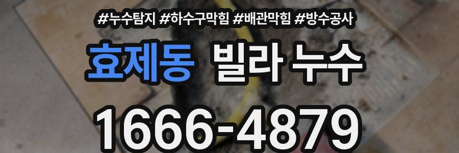 효제동 빌라 누수