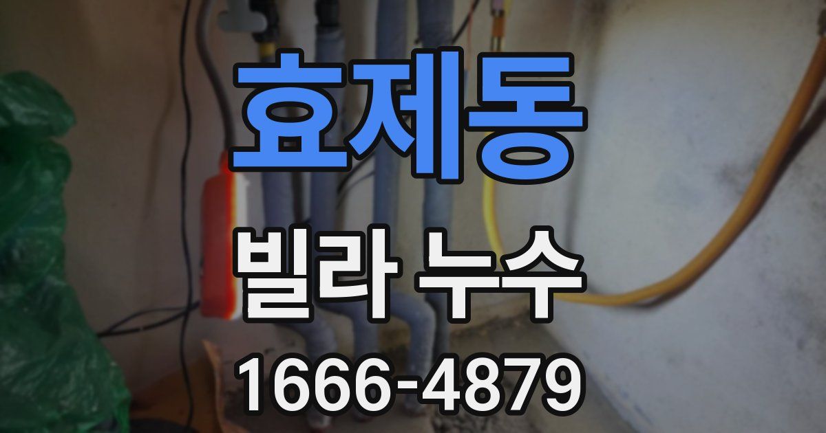 효제동 빌라 누수
