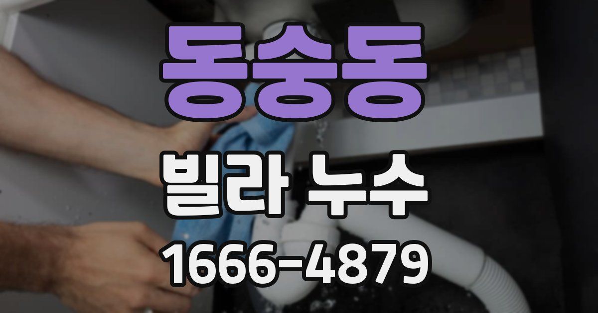 동숭동 빌라 누수