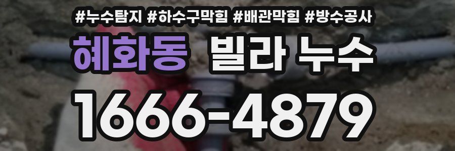 혜화동 빌라 누수