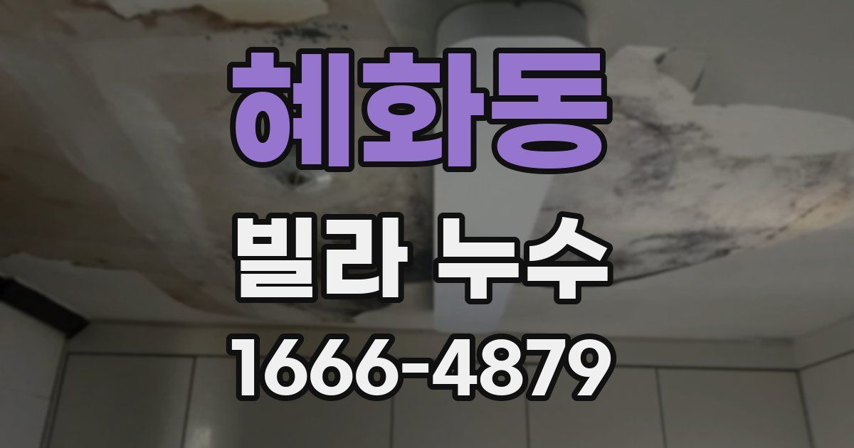혜화동 빌라 누수
