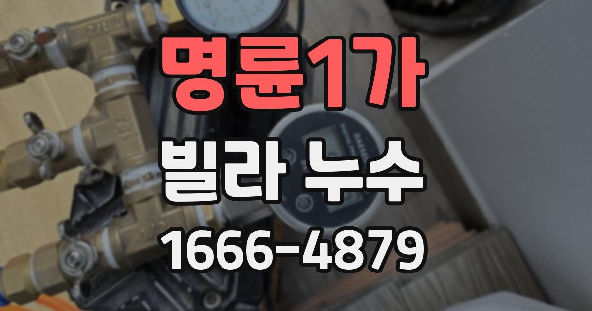 명륜1가 빌라 누수
