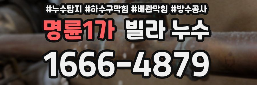 명륜1가 빌라 누수