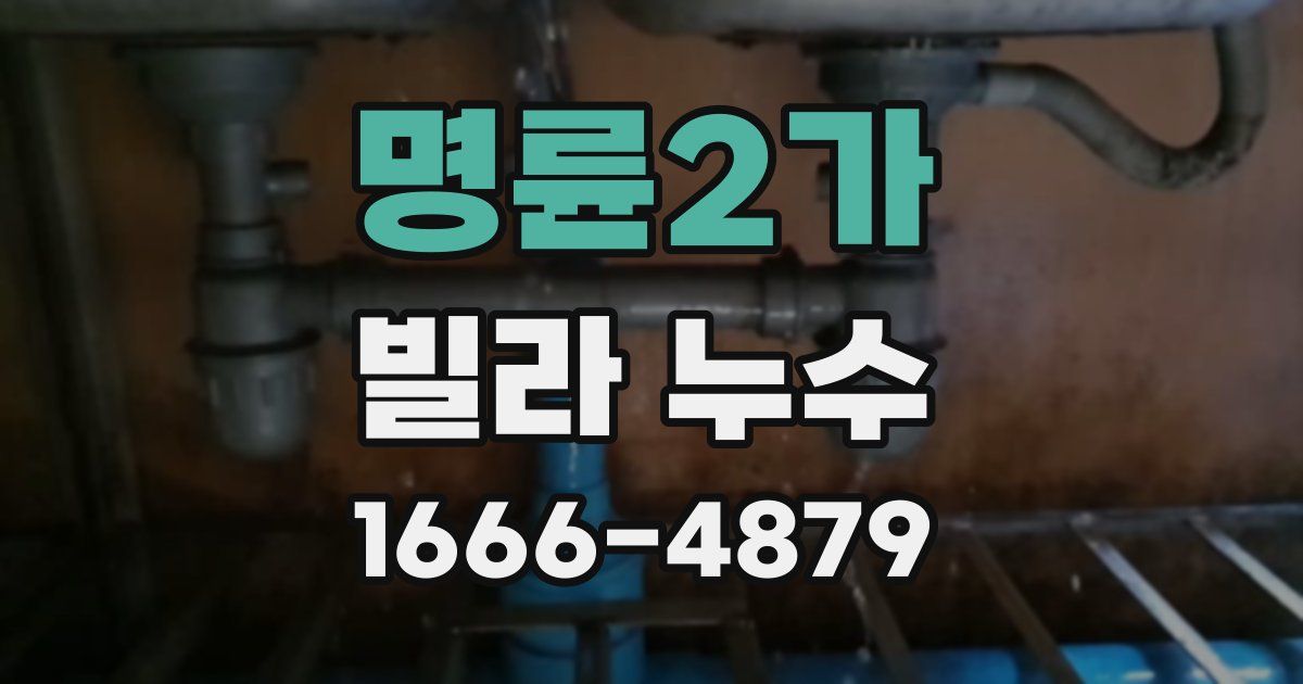 명륜2가 빌라 누수
