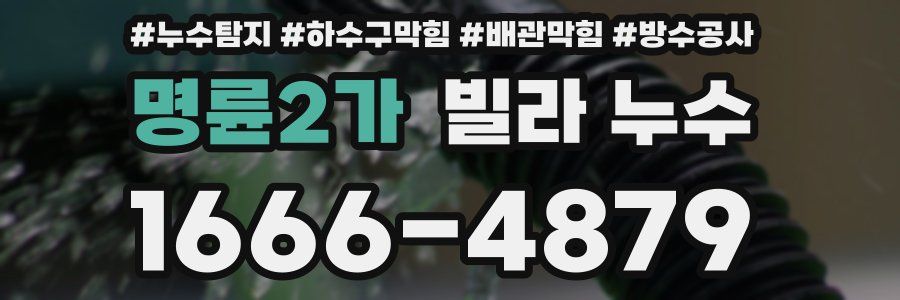명륜2가 빌라 누수