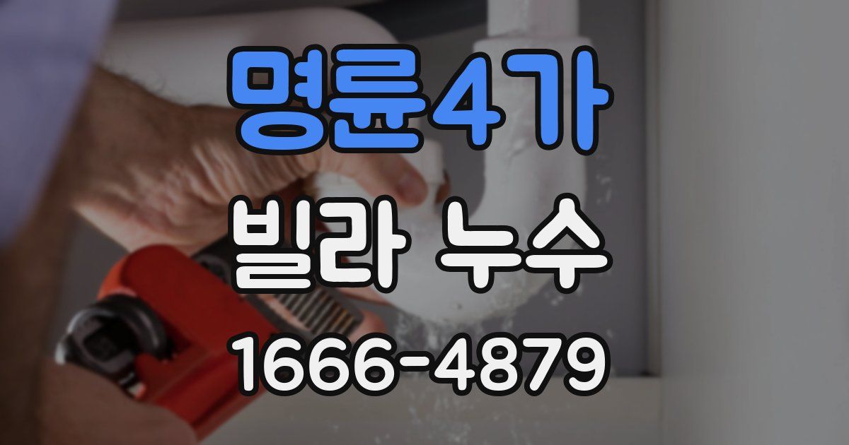 명륜4가 빌라 누수