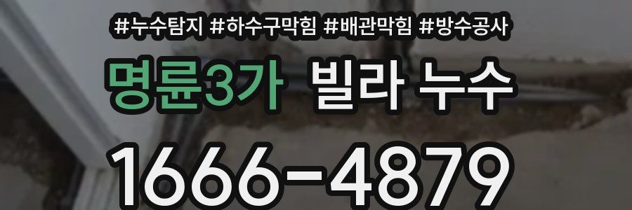 명륜3가 빌라 누수