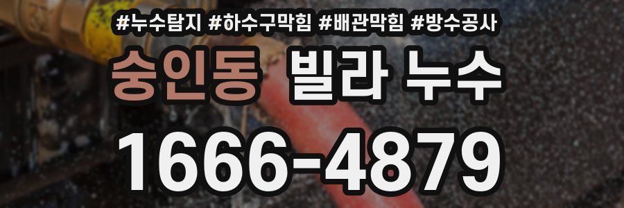 숭인동 빌라 누수