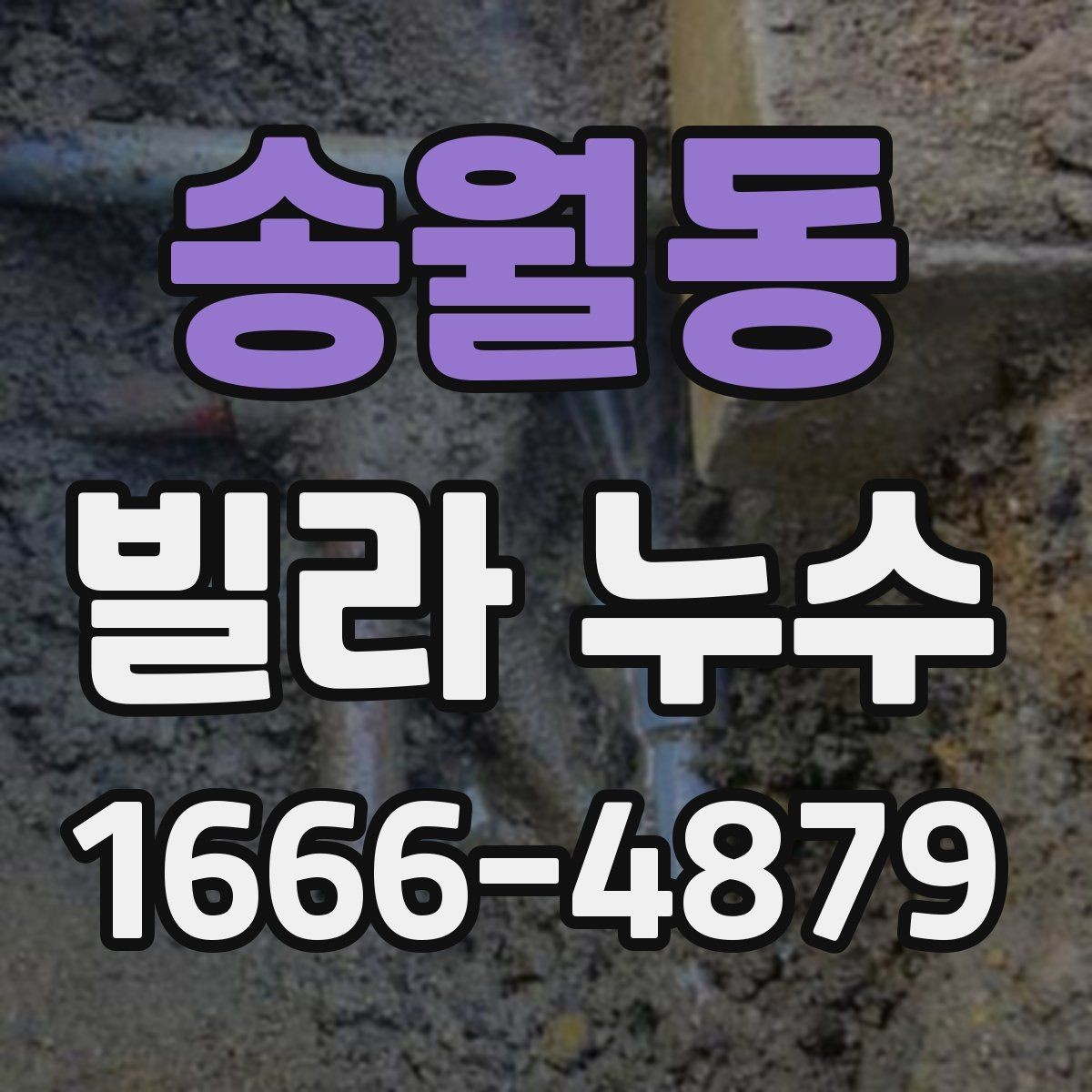 송월동 빌라 누수 세대별 책임 구분을 위한 기본 정보