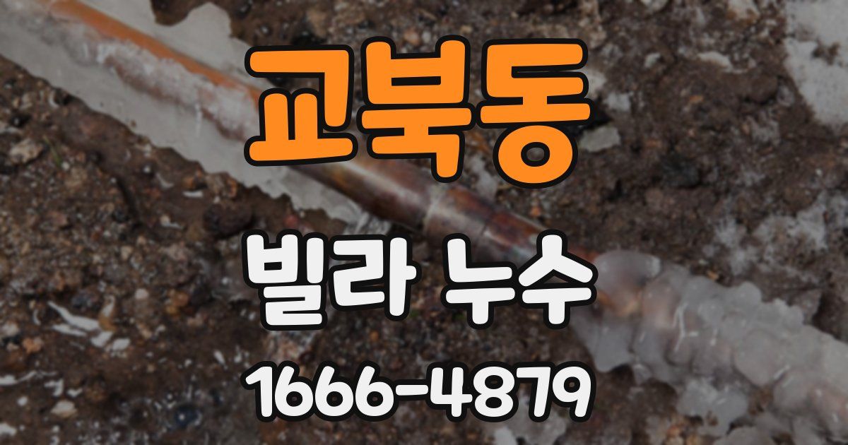 교북동 빌라 누수
