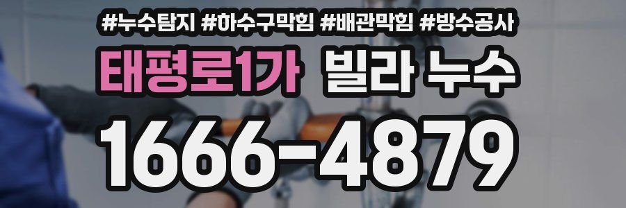 태평로1가 빌라 누수