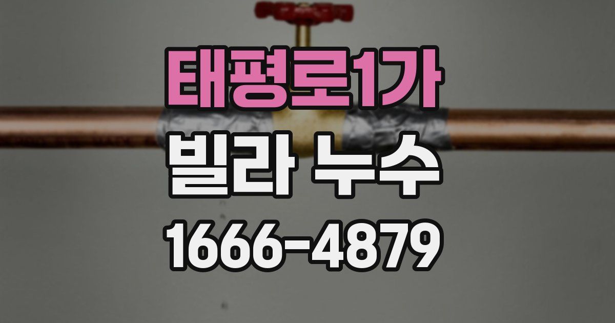 태평로1가 빌라 누수
