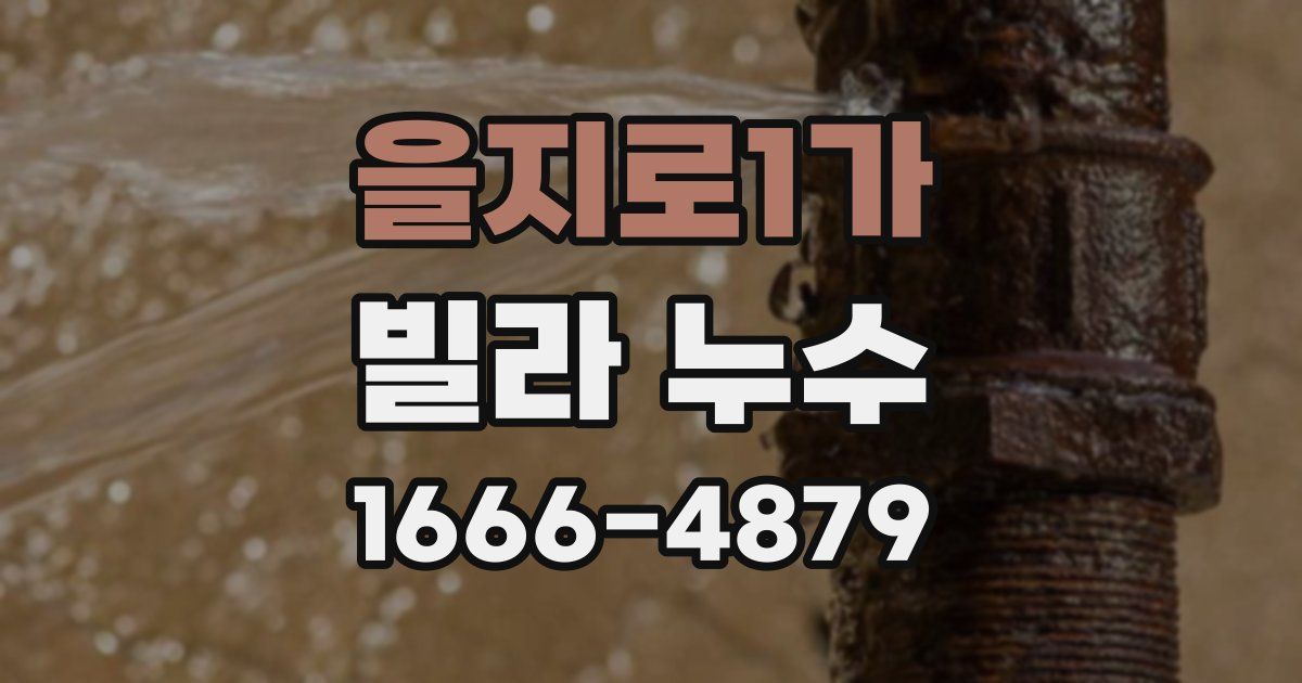 을지로1가 빌라 누수
