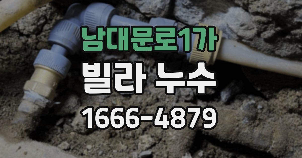 남대문로1가 빌라 누수