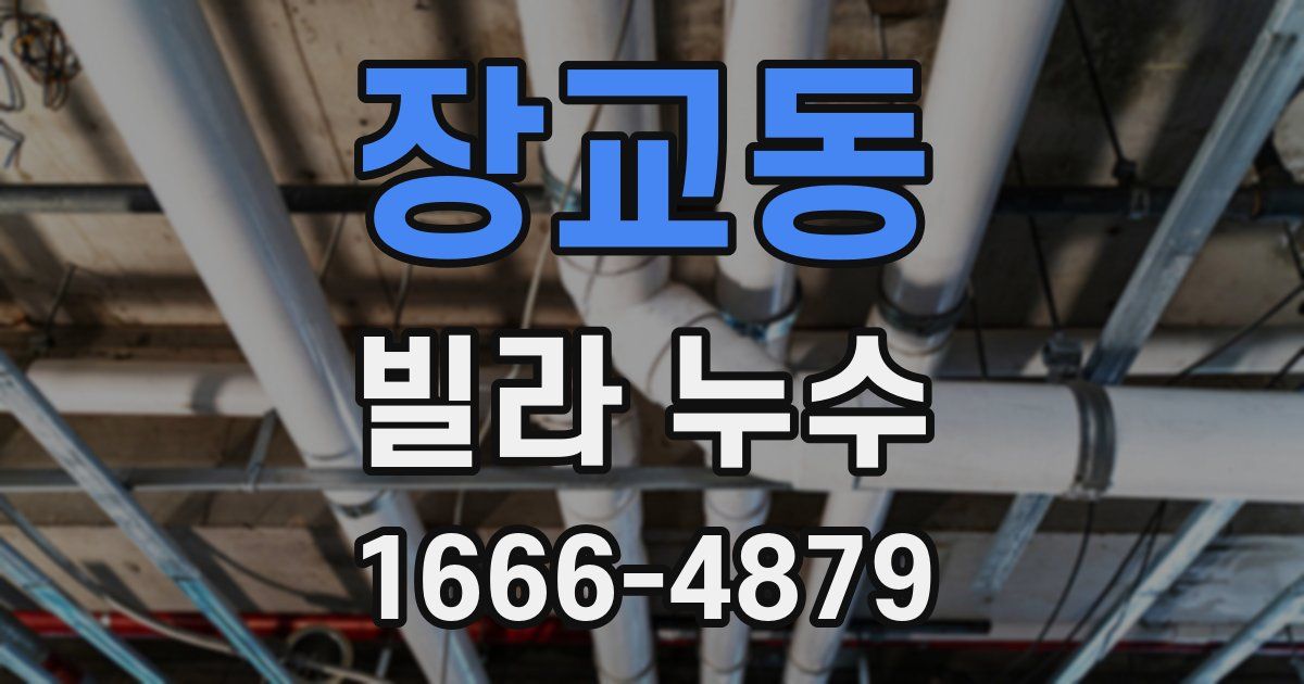 장교동 빌라 누수