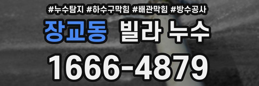장교동 빌라 누수
