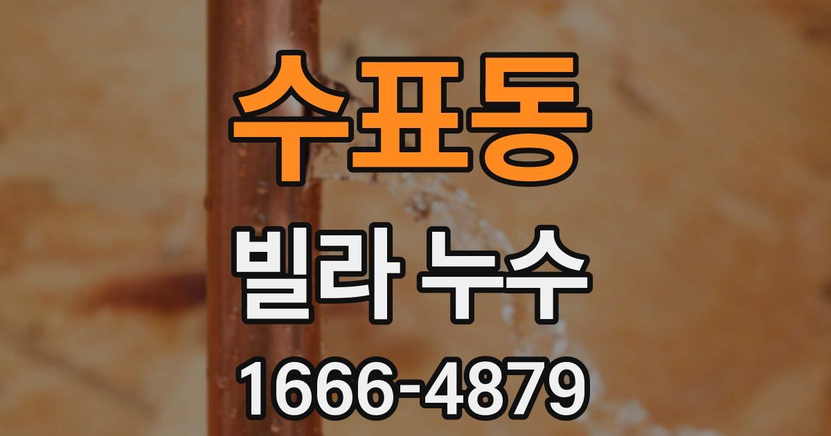 수표동 빌라 누수