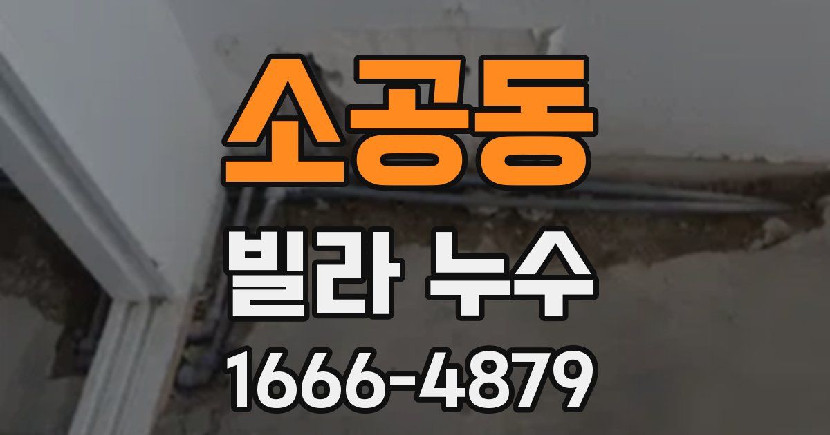소공동 빌라 누수