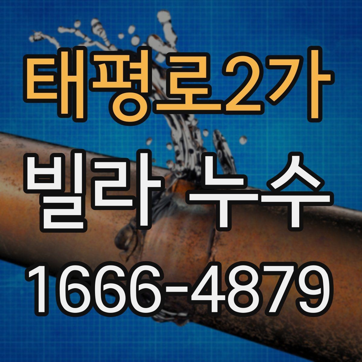 태평로2가 빌라 누수 현황을 사진으로 남기는 방법