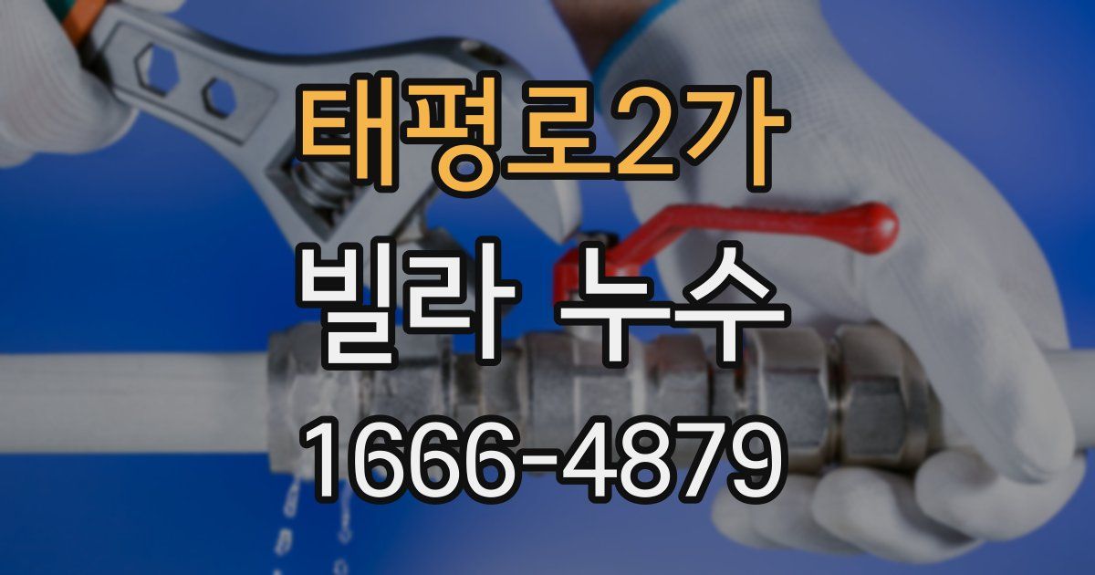 태평로2가 빌라 누수