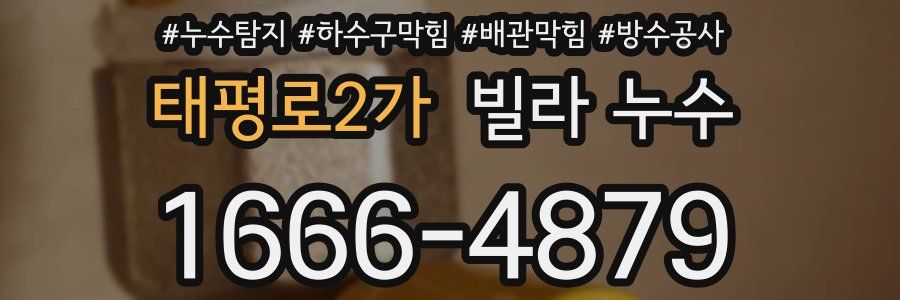 태평로2가 빌라 누수
