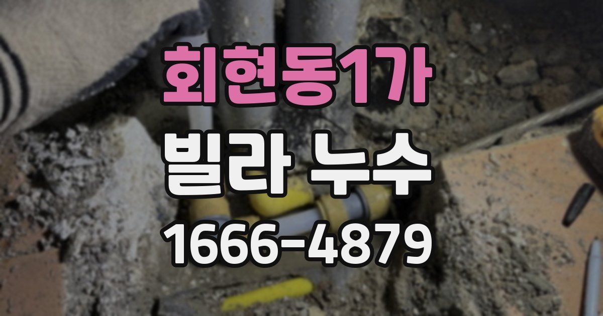회현동1가 빌라 누수