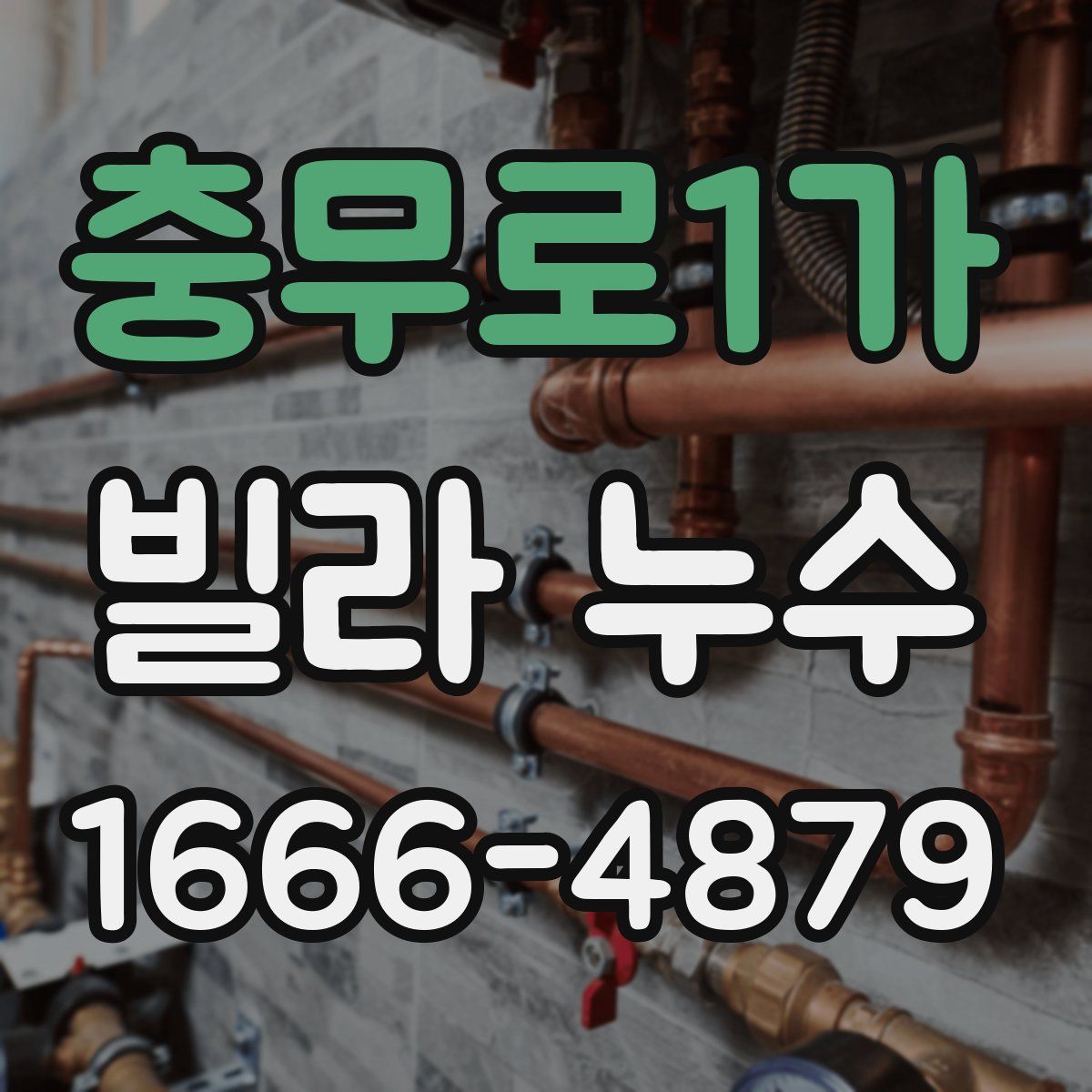 충무로1가 빌라 누수