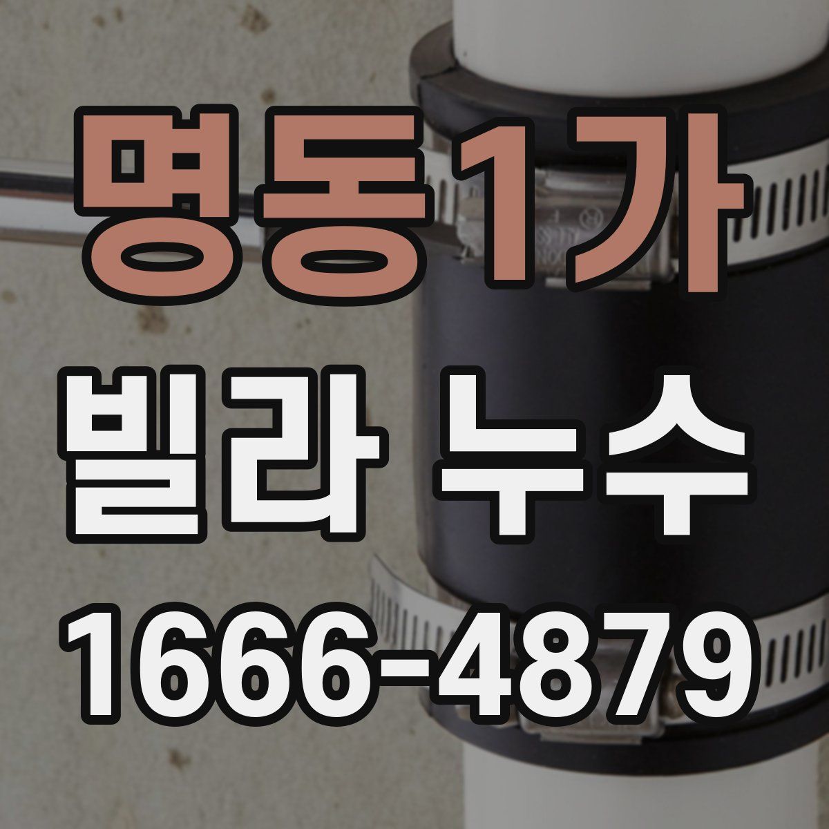 명동1가 빌라 누수