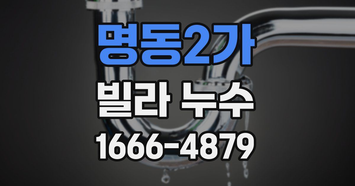 명동2가 빌라 누수