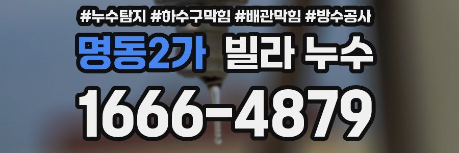 명동2가 빌라 누수