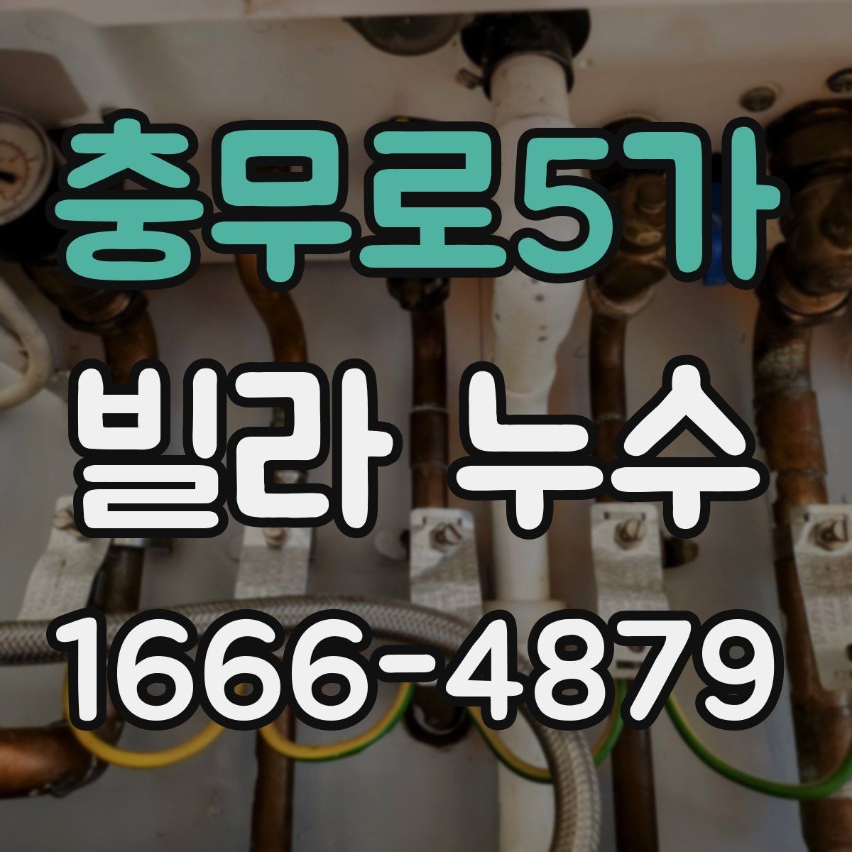 충무로5가 빌라 누수 전문가 점검을 부를 적절한 시점