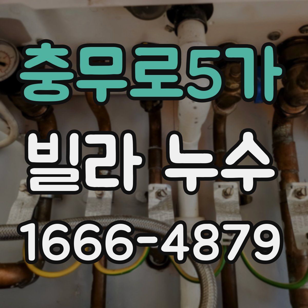 충무로5가 빌라 누수