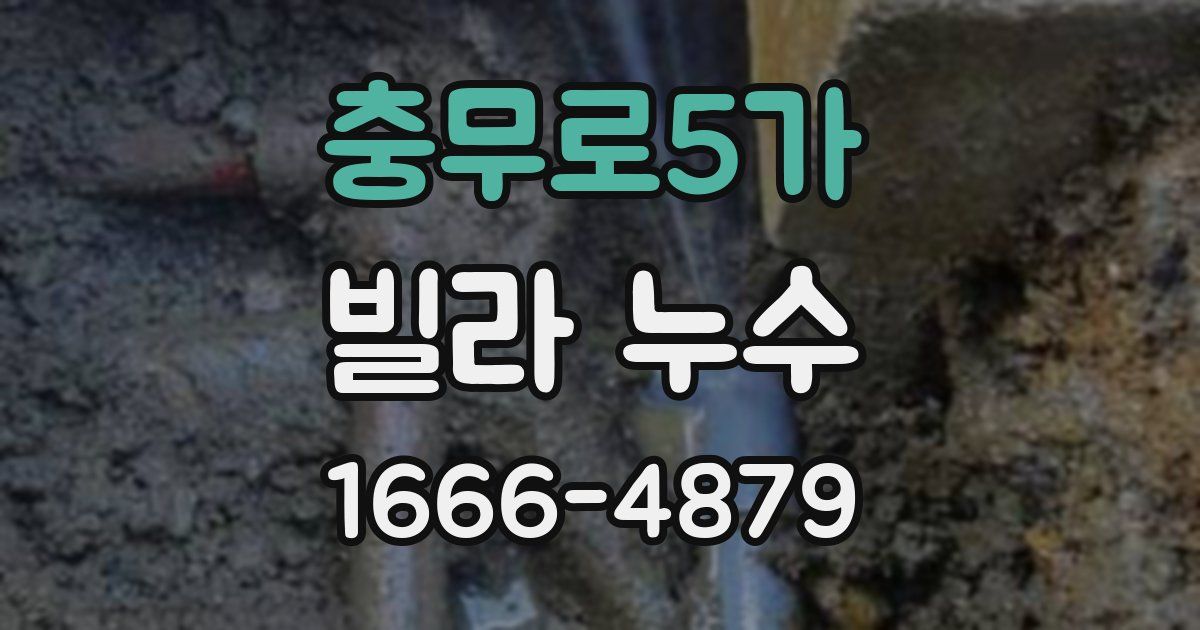 충무로5가 빌라 누수