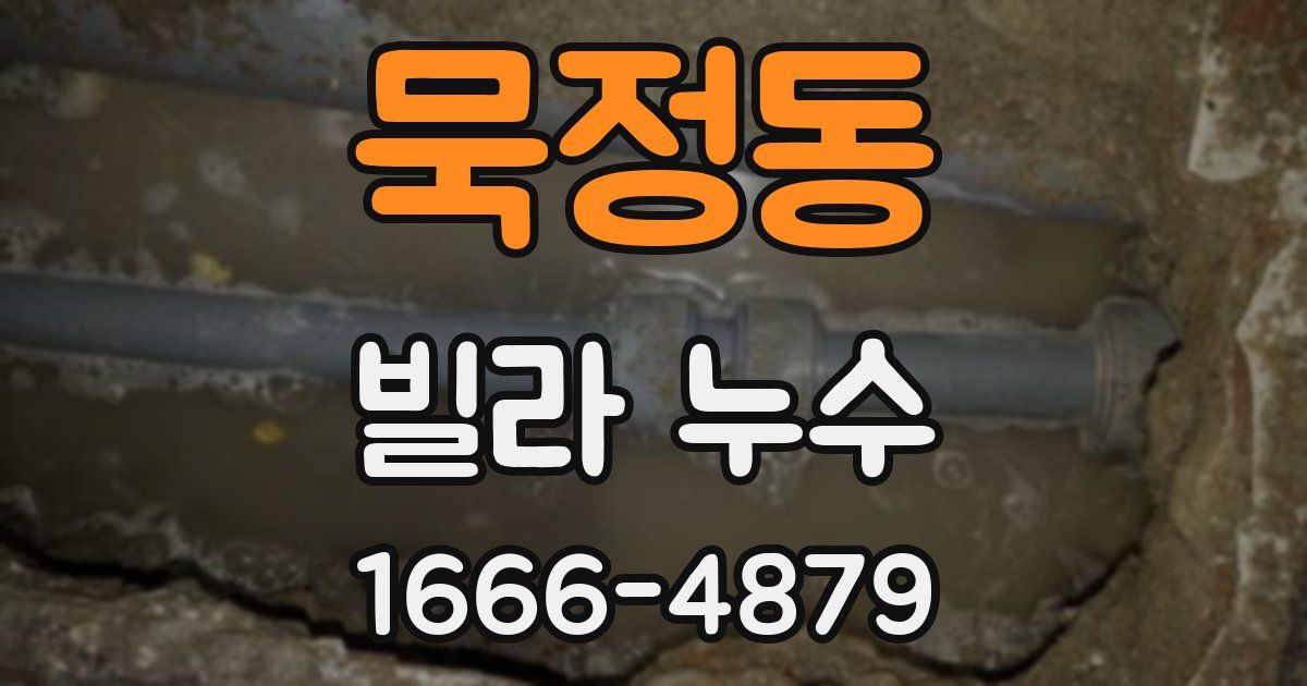 묵정동 빌라 누수