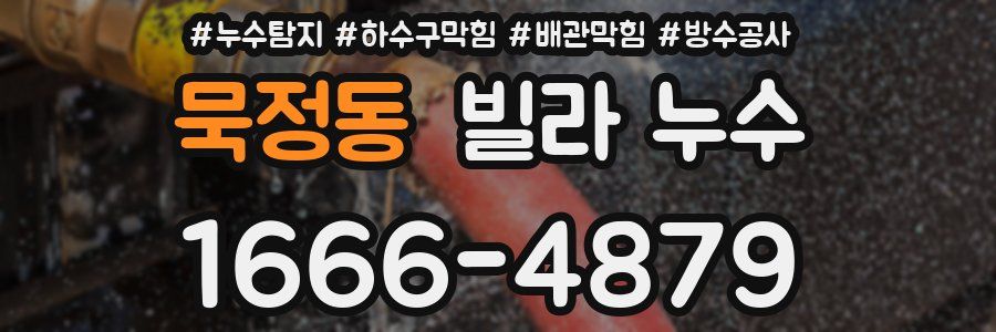 묵정동 빌라 누수