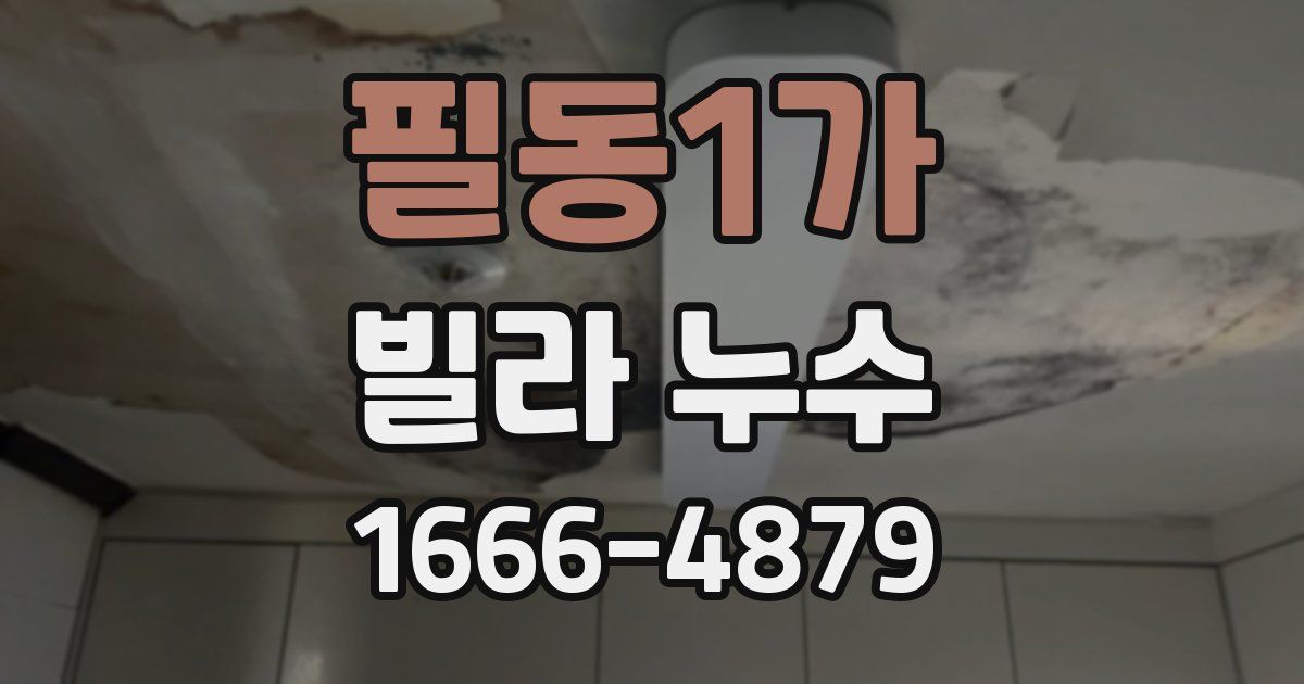 필동1가 빌라 누수