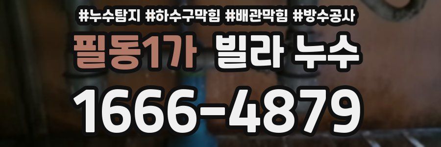 필동1가 빌라 누수