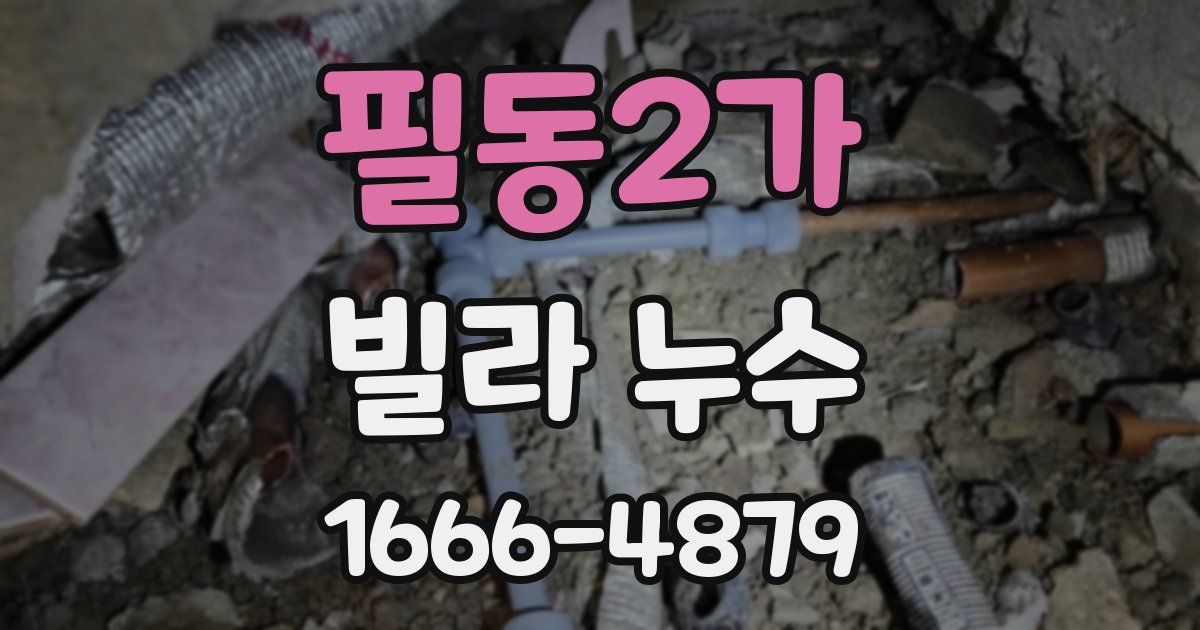 필동2가 빌라 누수