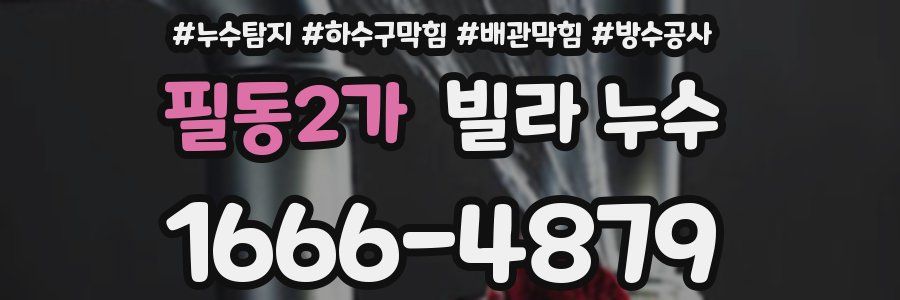 필동2가 빌라 누수