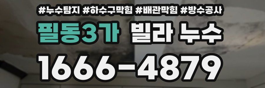 필동3가 빌라 누수