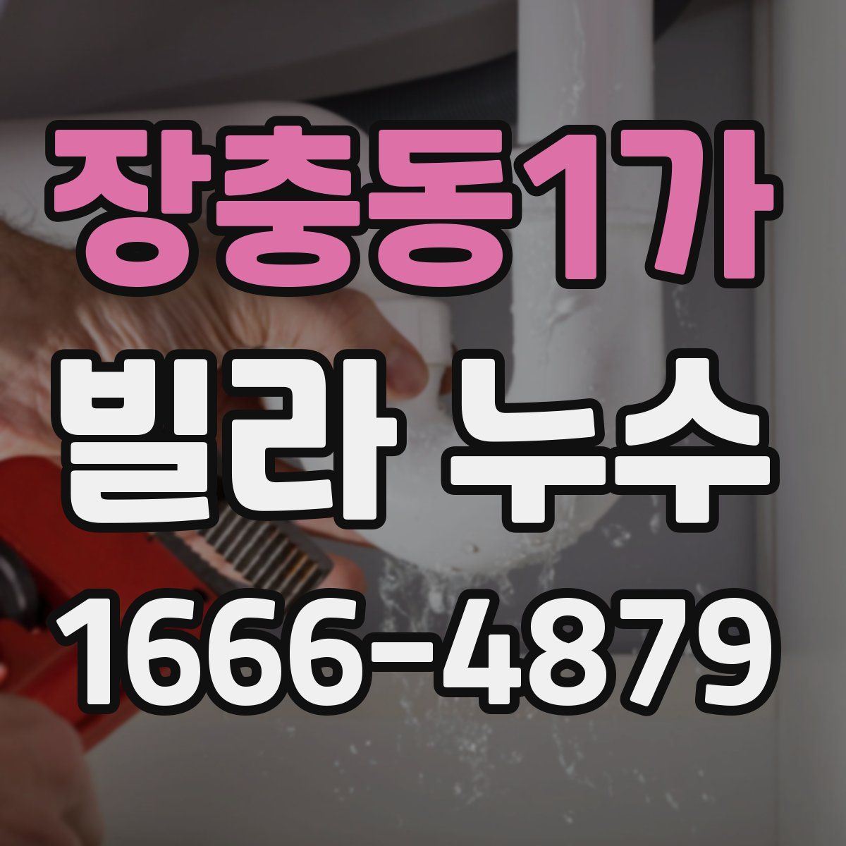 장충동1가 빌라 누수