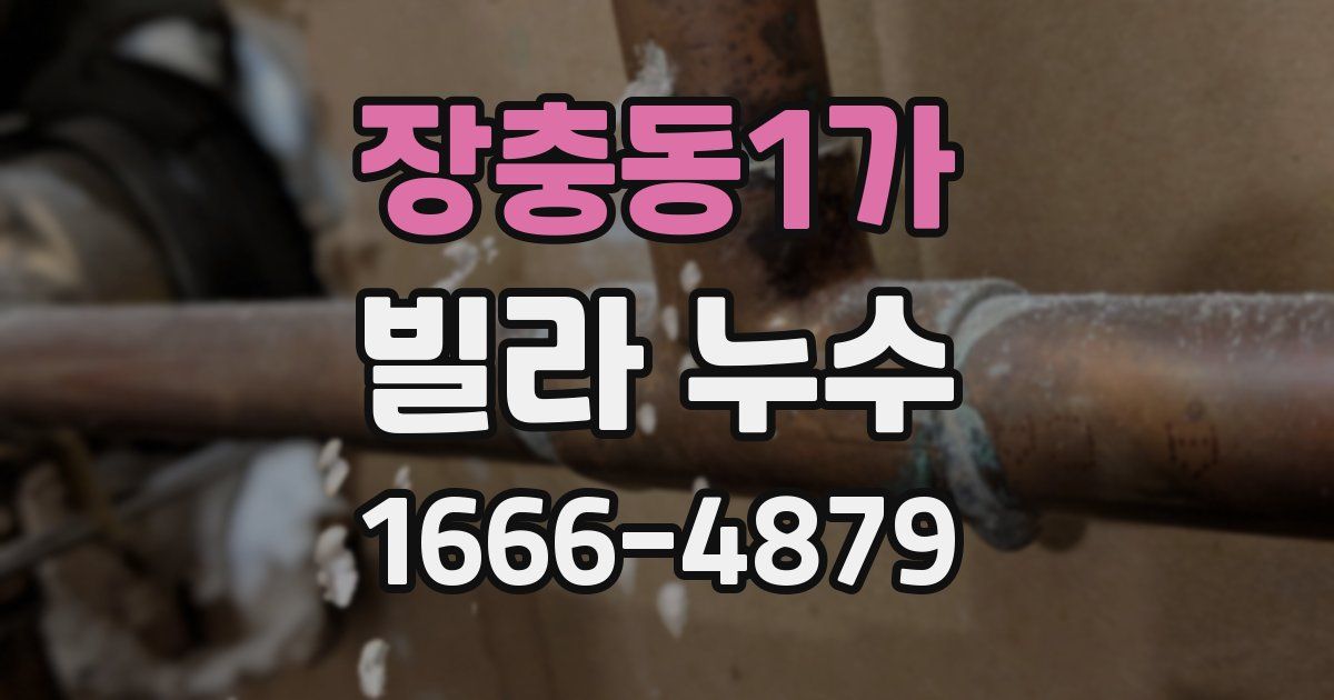 장충동1가 빌라 누수