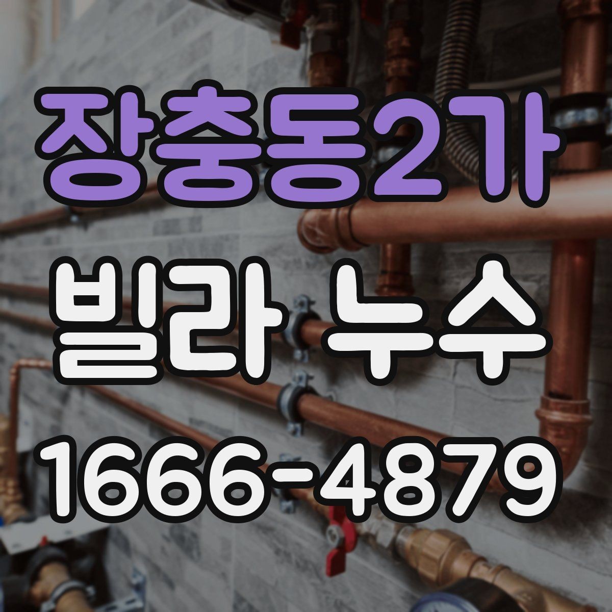 장충동2가 빌라 누수 발생 후 전문가 상담 준비사항