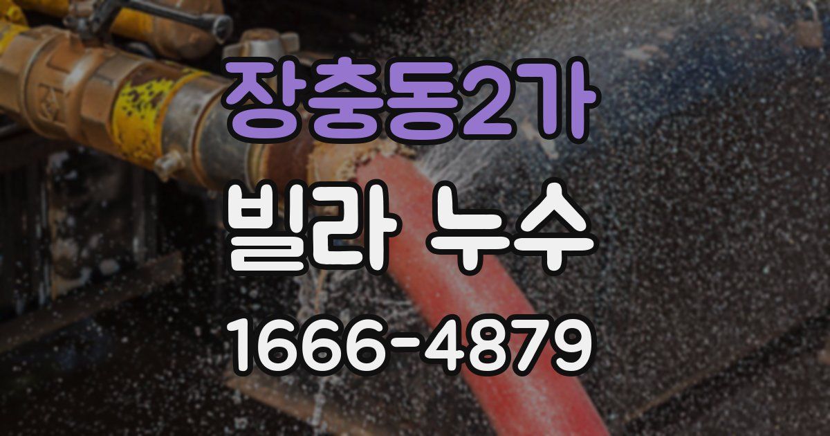 장충동2가 빌라 누수