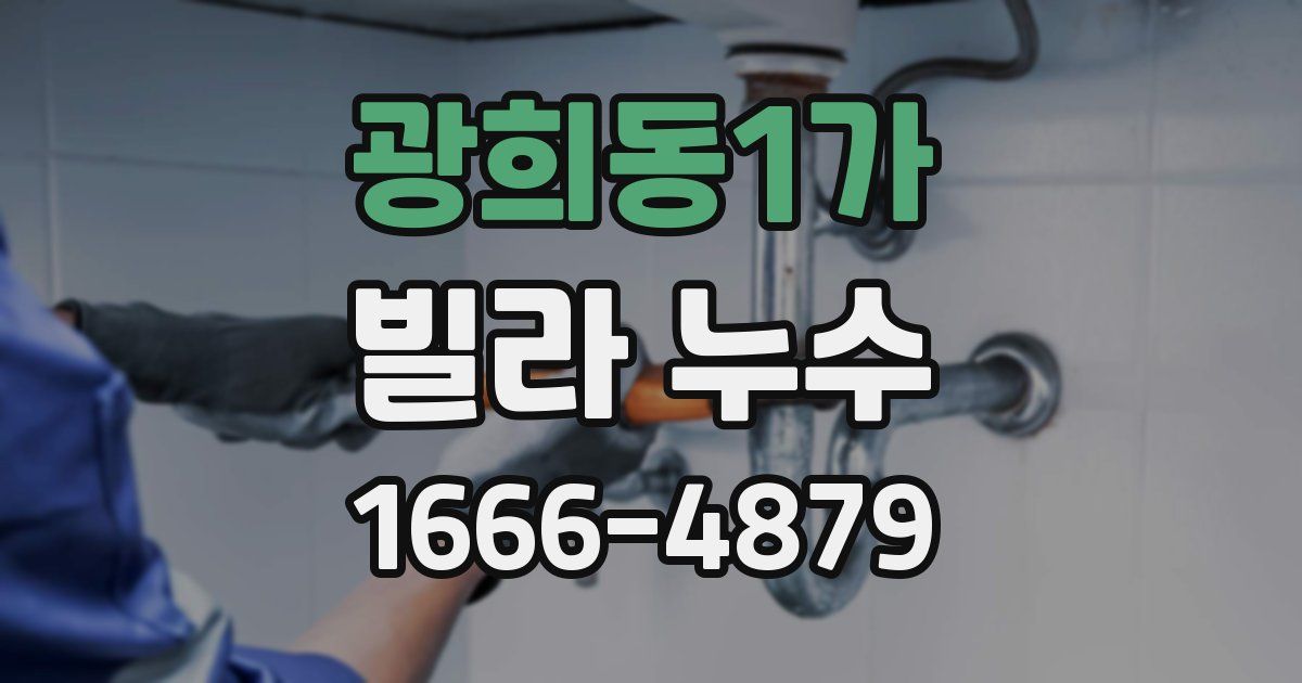 광희동1가 빌라 누수