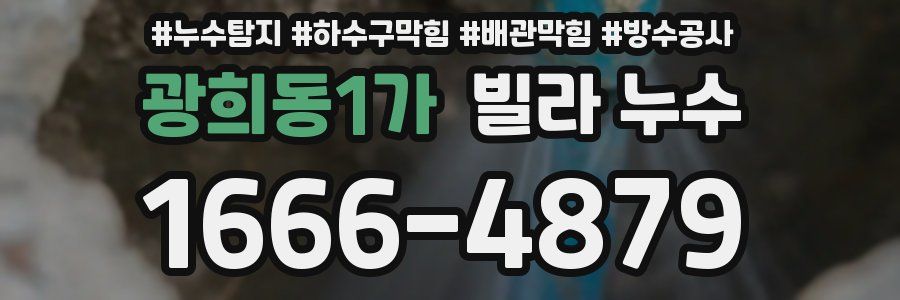 광희동1가 빌라 누수