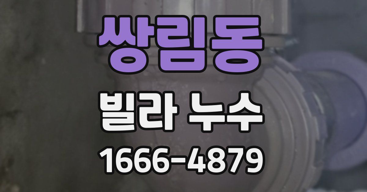 쌍림동 빌라 누수